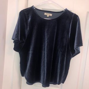 Madewell blue velvet top